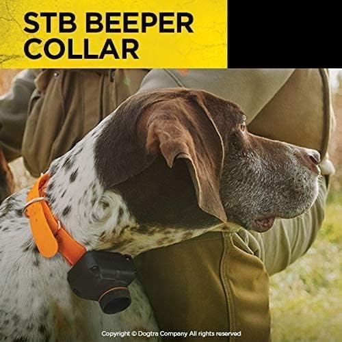 Dogtra STB Beeper Collar Hawk Version Hunting Dog Collar for Outdoor Upland Gun Dog