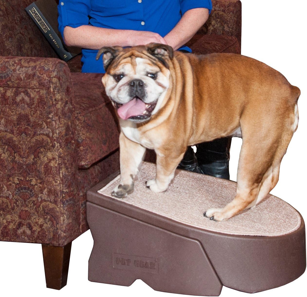 Pet Gear Stramp Stair and Ramp Combination for Dogs\/Cats, Easy Step, Lightweight\/Portable, Sturdy, Easy Assembly (No Tools Required) 1 Model, Available in 5 Colors