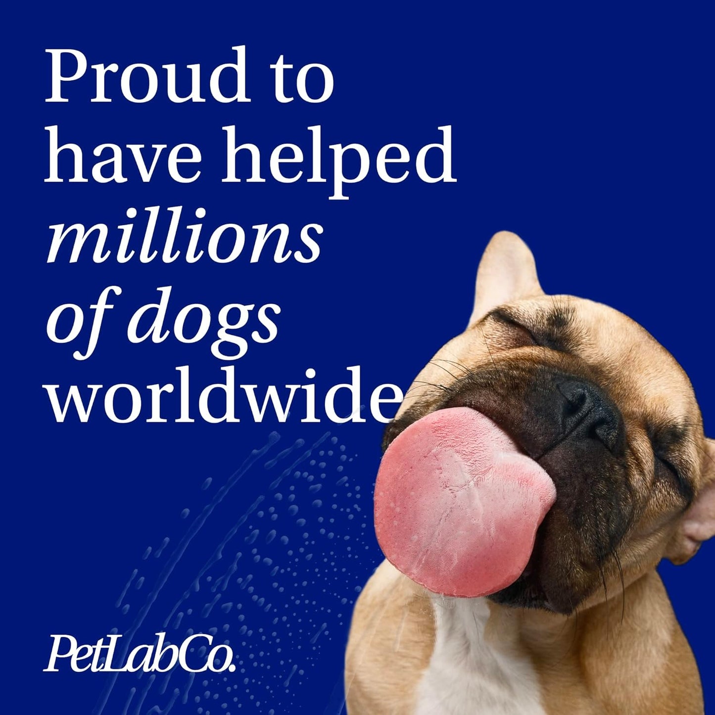 PetLab Co. Dog Dental Formula - Keep Dog Breath Fresh and Teeth Clean - Supports Gum Health - Dog Water Additive Dental Care Targets Tartar - 2pack