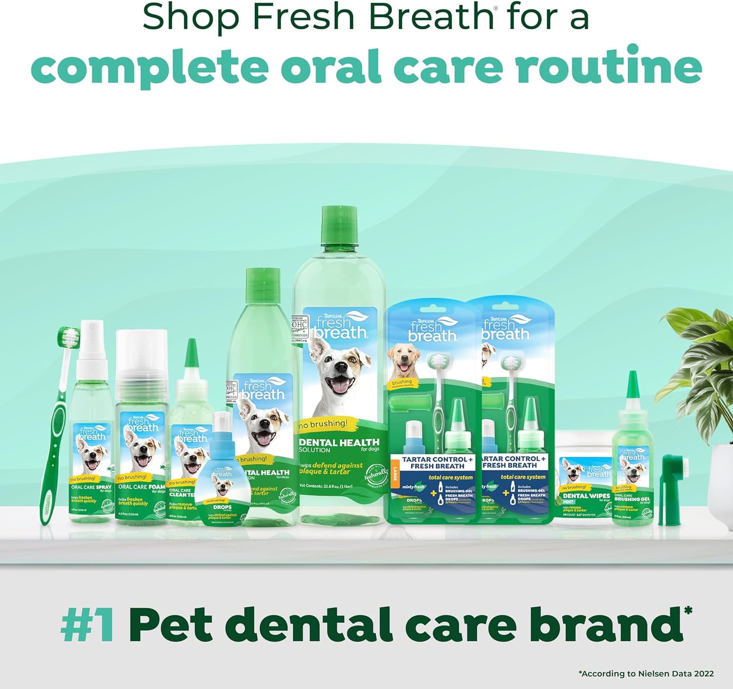 TropiClean Fresh Breath Original | Dog Oral Care Water Additive | Dog Breath Freshener Additive for Dental Health | VOHC Certified | Made in the USA | 33.8 oz. | Pack of 3