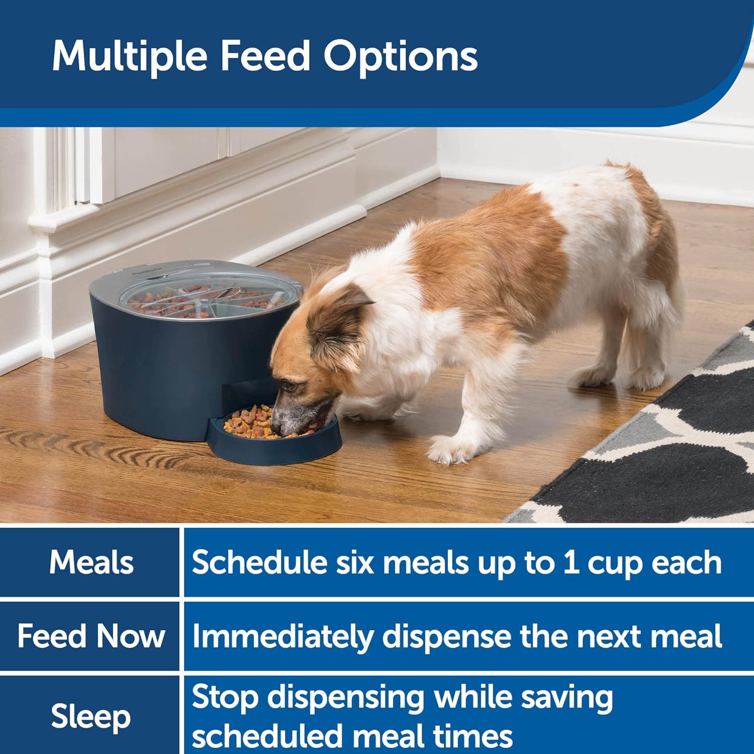 PetSafe 6 Meal Programmable Pet Food Dispenser, Automatic Dog and Cat Feeder- Dry Kibble or Semi-Moist Pet Food, Slow Feed Portion Control (6 Cup/48 Ounce Capacity), Tamper-Resistant, Sleep Mode Blue