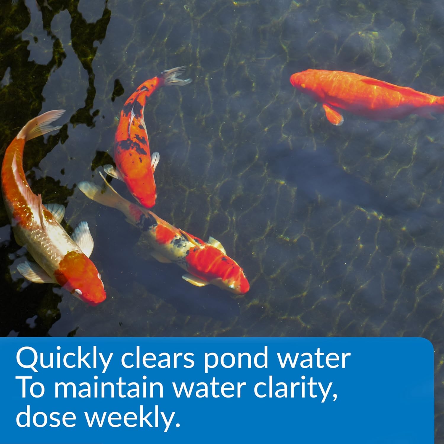 API POND ACCU-CLEAR Pond Water Clarifier 1-Gallon Bottle
