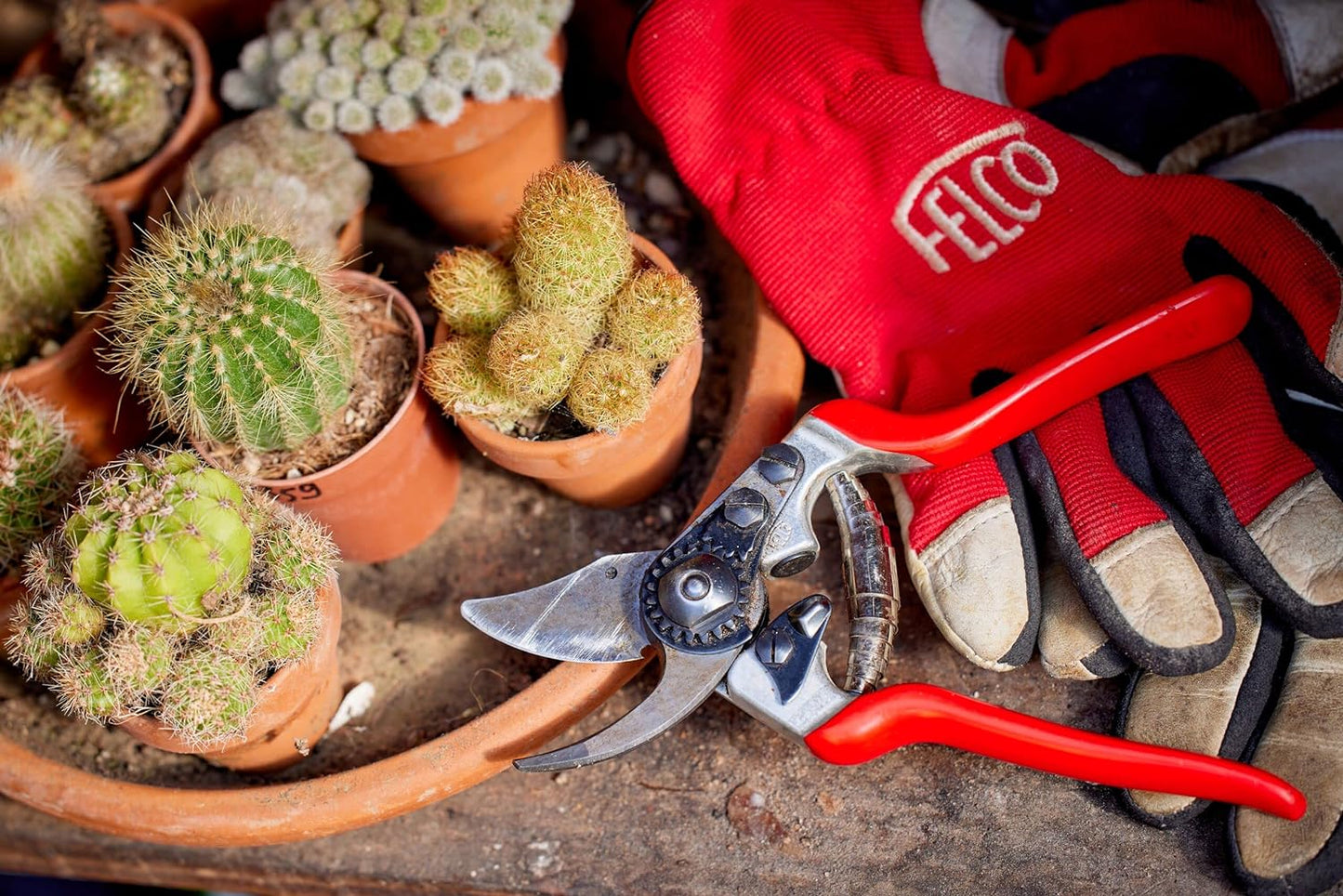 FELCO Pruning Shears (F 14) - High Performance Swiss Made One-Hand Garden Pruner with Steel Blade,Red, Silver