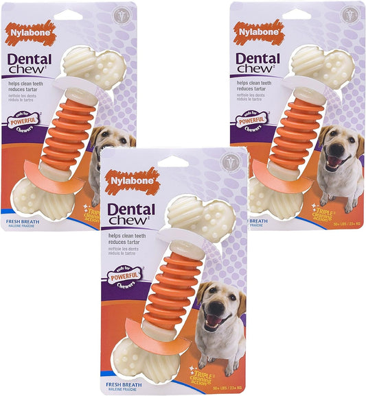 (3 Pack) Nylabone Pro Action Dental Chew, Bacon Flavored - Size Large