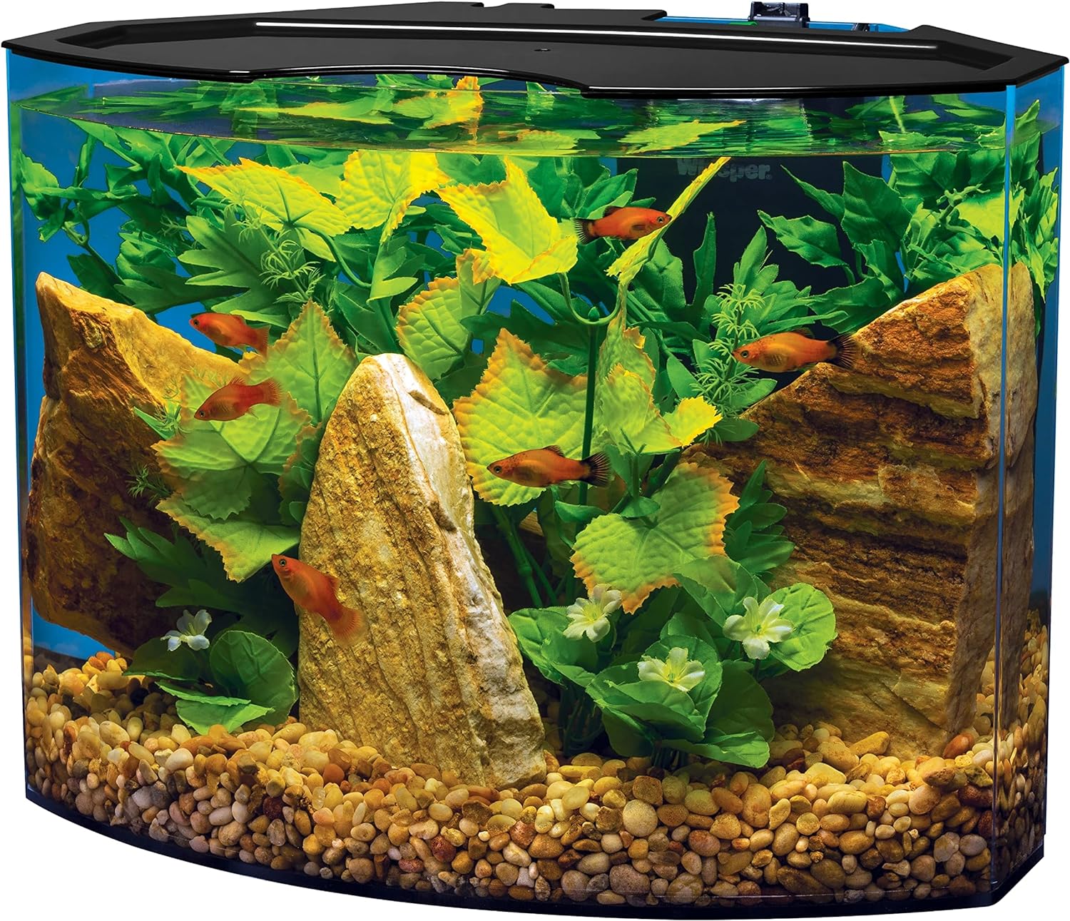 Tetra Crescent aquarium Kit 5 Gallons, Curved-Front Tank With LEDs,black