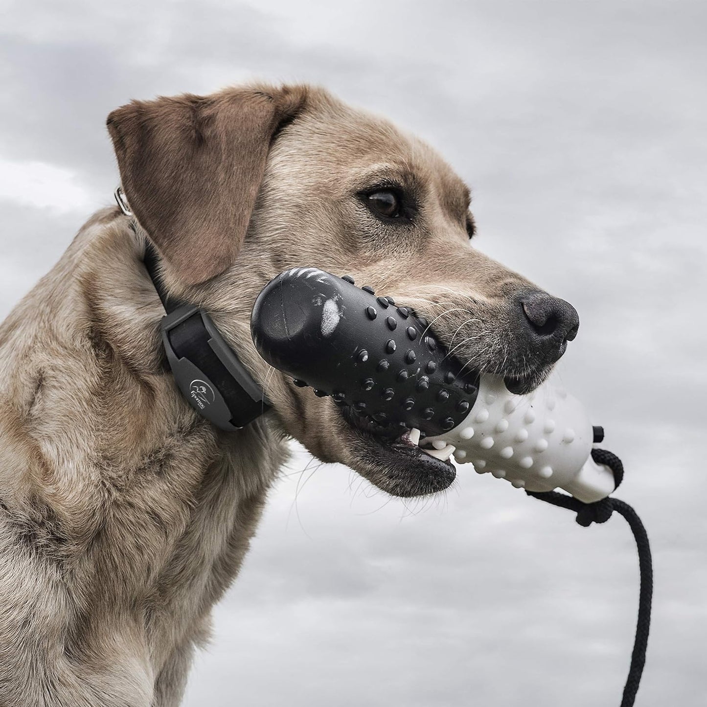 SportDOG Brand FieldTrainer 425X/SportHunter 825 Shock Collar - Additional, Replacement, or Extra Collar for Your Remote Trainer - Waterproof and Rechargeable with Tone, Vibration, and Shock